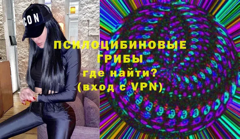 Псилоцибиновые грибы мухоморы  где продают   Карабулак 